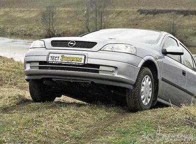 Немецкий цветок в русской клумбе